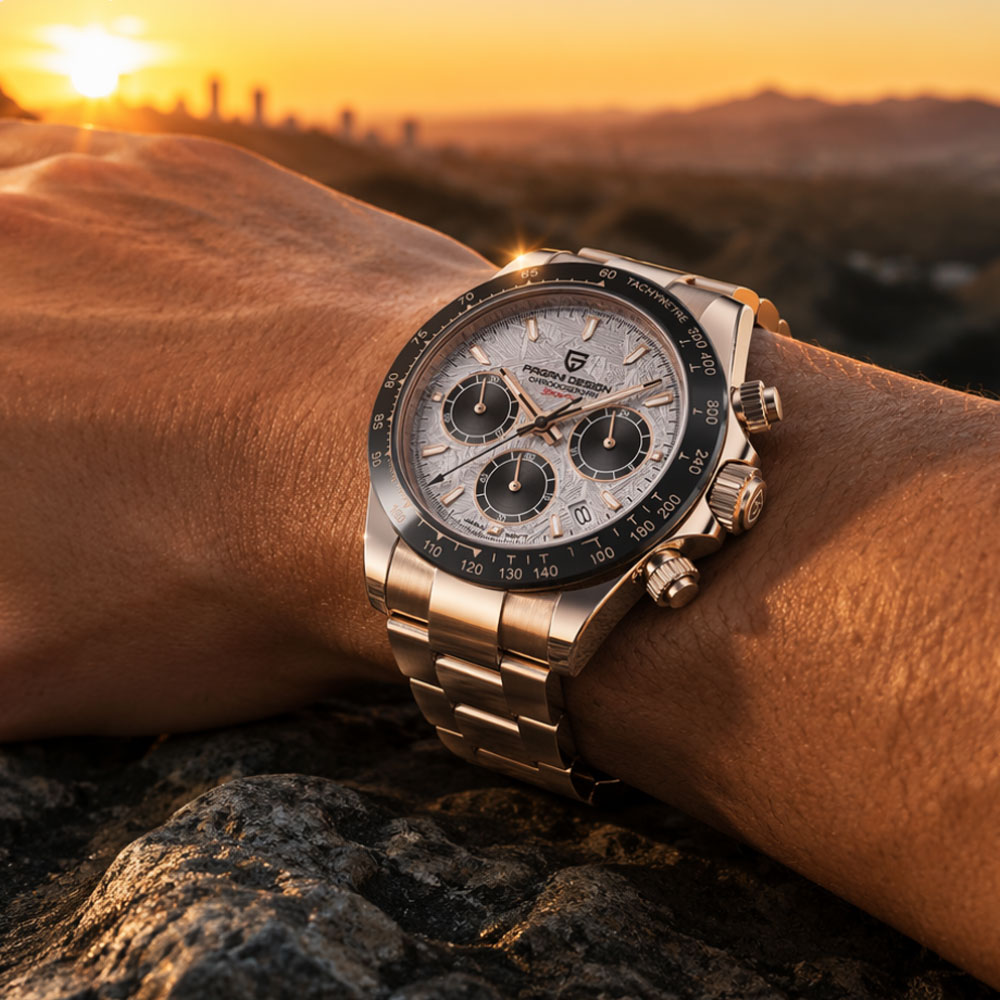 Top-Marke PAGANI DESIGN Luxus- – Luxury Watch For Men Bewertung und Preis